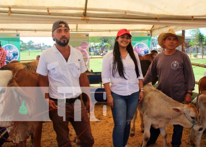 Nueva Guinea celebró el inicio de la producción