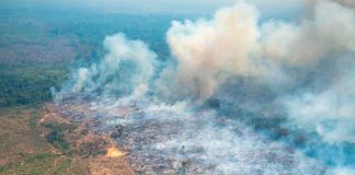 Incendios forestales en Colombia pueden ser provocados