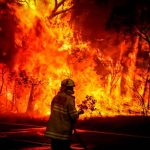 Devastadores incendios forestales en Australia