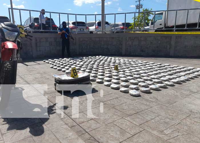 Tenaz operativo dejó la incautación de 310 kilos de marihuana en Managua