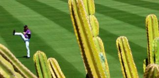 colorado, spring, training, liga, cactus, mlb,