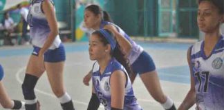 voleibol, nicaragua, primera division, femenino, panteras,