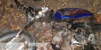 Motociclista grave luego de chocar contra un caballo en la Isla de Ometepe