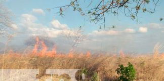 Incendio Forestal Afecta más de 20 Manzanas en Juigalpa, Chontales