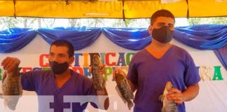 Certifican en la producción de peses a sistema penitenciario en Matagalpa