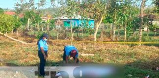 Encuentran a hombre decapitado en Sasha, Puerto Cabezas