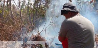 Controlan incendio forestal en Peña Inculta en la Isla de Ometepe