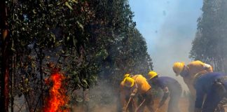 Declaran alerta amarilla ante incendios en comuna Melipueco, Chile