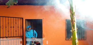 Fumigación en el barrio Nueva Nicaragua, Managua