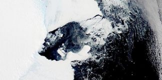 Colapsa plataforma de hielo en la Antártida Oriental