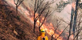 Incendio forestal deja cuatro fallecidos en Totonicapán, Guatemala