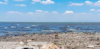 En circunstancias extrañas perece hombre a orillas del Lago de Managua