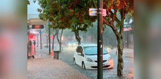 Cuatro muertos y dos desaparecidos en Nueva Zelanda tras fuertes lluvias