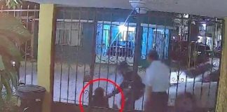 Video: Graban secuestro de una mujer frente a sus vecinos en México