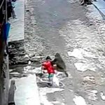 Niña es raptada por un mono salvaje en China