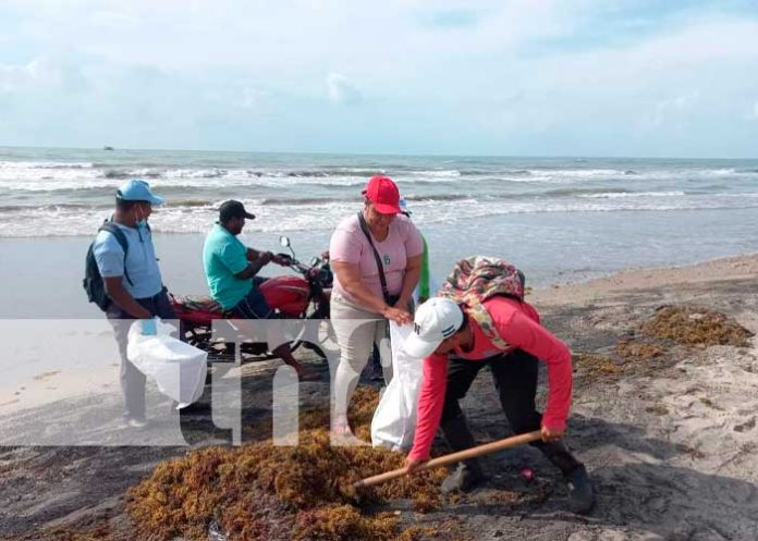 Caribe Norte prepara condiciones para apertura del Plan Playa 2022