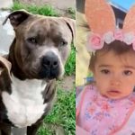 Madre salva a su hija de ser devorada por sus perros