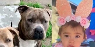 Madre salva a su hija de ser devorada por sus perros