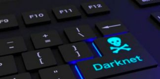 Alemania en conjunto a seguridad cibernética internacional cerraron la darknet