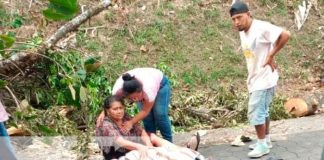 Jinotega: 1 muerto y 5 heridos de gravedad tras caerles un árbol