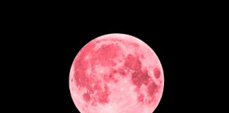 Cómo, cuándo y dónde ver la Luna Rosa de abril