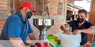 Entrega de bono lácteo para productor en Jinotega