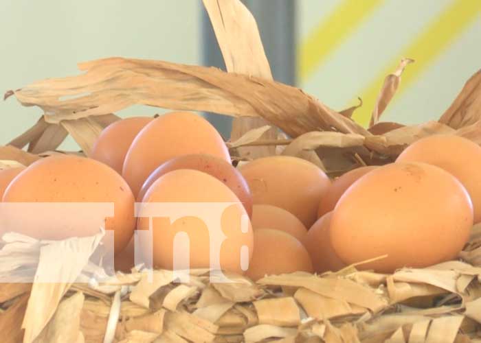 Productos que encuentra en el Parque de Ferias en Managua, Nicaragua 