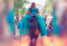 ¡Si no es así no quiero nada! Quinceañera llega a su fiesta en un búfalo