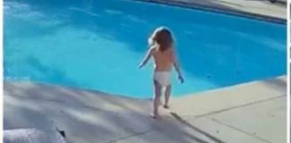 Héroe sin capa: Rescatan a niño con autismo de morir ahogado en EEUU