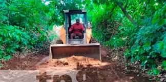 Autoridades mejoran camino productivo de Las Flores en San Marcos