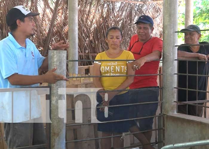 Estrategias productivas avanzan a buen ritmo en la Isla de Ometepe