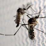 Brasil registra igual número de casos de dengue que en 2021