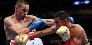 gallo, estrada, chocolatito, gonzalez, boxeo