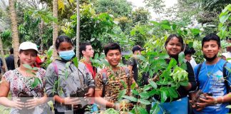 100 mil árboles sembrados es la meta de reforestación en Bluefields