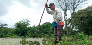 Altas Expectativas En producción Agrícola Para Agricultores en Carazo