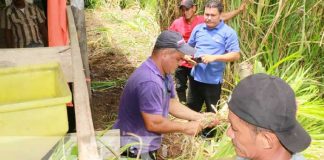 Siuna: Productores reciben capacitación de alimento balanceado de ganado