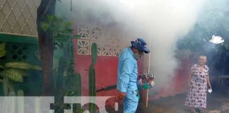 Fumigación y abatización en barrios de Managua