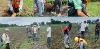 Gobierno de Nicaragua reforestó fuentes de agua y plantas de tratamiento