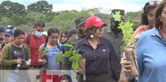 Jornada de reforestación en Estelí