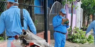 Jornada de fumigación y abatización en Managua