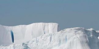 Científicos contentos por encontrar enjambre bajo hielo