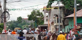 Realizan tradicional tope de toros en Nandaime