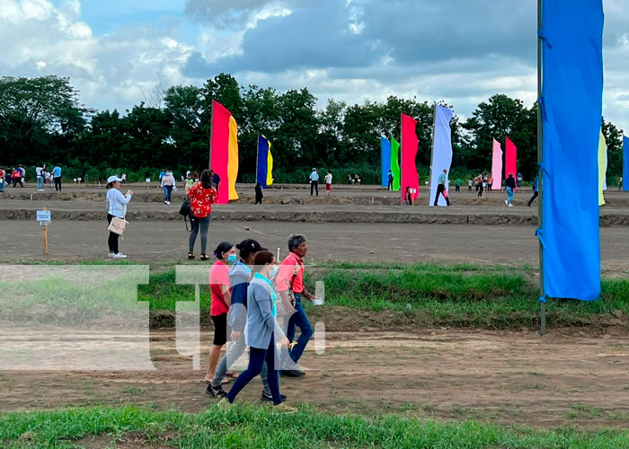 Familias de Managua reciben sus terrenos en Villa Esperanza, Managua