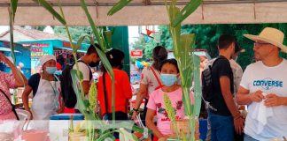 Promueven concurso de Sabores Gastronómicos de Invierno en Somoto