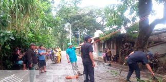 Lluvias en Carazo causan caída de árboles en Jinotepe y Santa Teresa