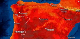 360 muertos se registran a causa de la segunda ola de calor en España