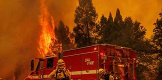 Evacuan a familias tras voraz incendio en el parque Yosemite, California