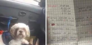 La nota en taxi decía "mantener con agua, darle galleta” 