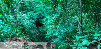 Ciclista pierde la vida al precipitarse en bajadero de la Laguna de Masaya