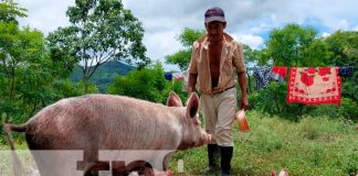 Productores de San Lucas aprovechan estrategia de escuelas técnicas del campo